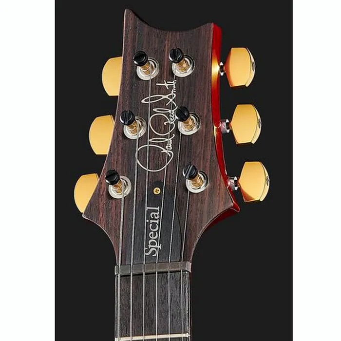 PRS Special Semi-Hollow 10 Top MS – photo 8
