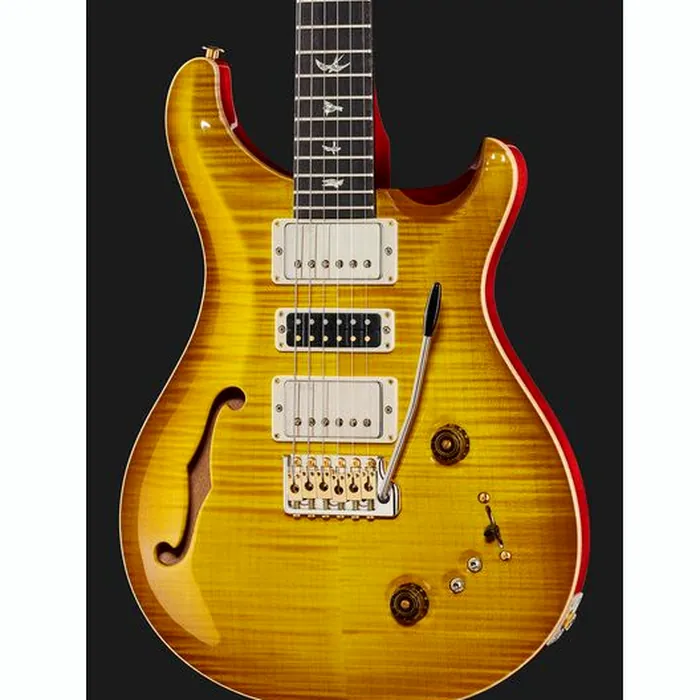 PRS Special Semi-Hollow 10 Top MS – photo 6