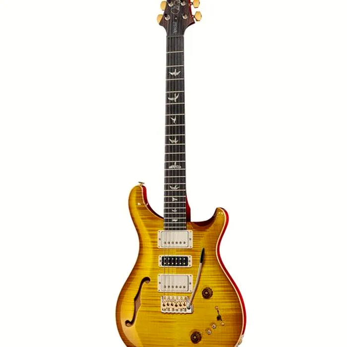 PRS Special Semi-Hollow 10 Top MS – photo 2