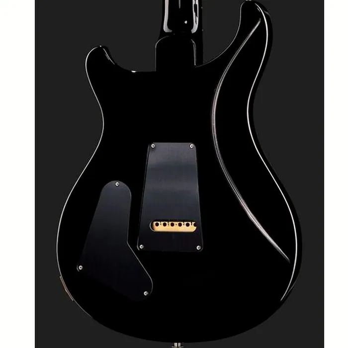 PRS Special Semi-Hollow BW – photo 7