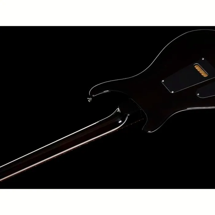PRS Special Semi-Hollow BW – photo 10