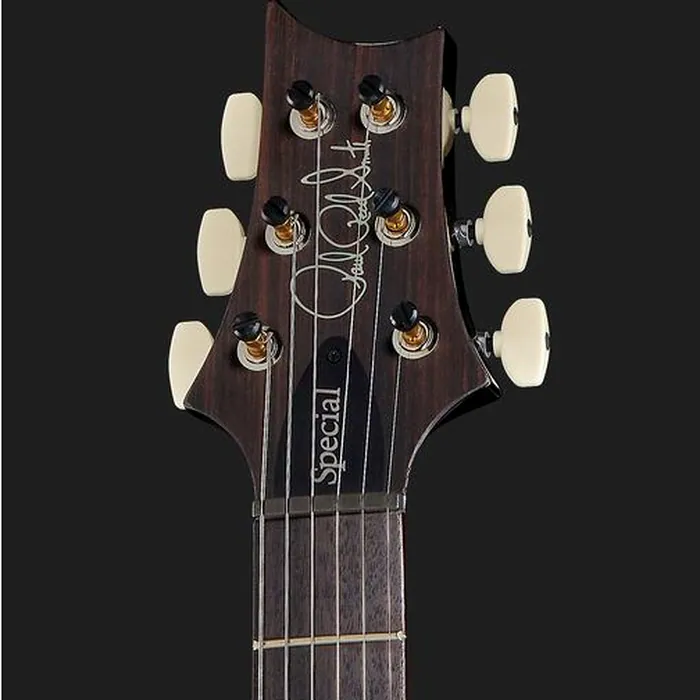 PRS Special Semi-Hollow BW – photo 8