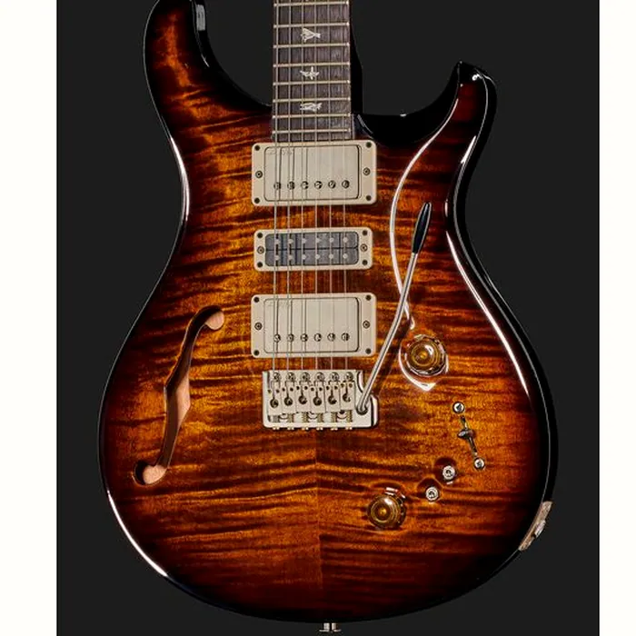 PRS Special Semi-Hollow BW – photo 6