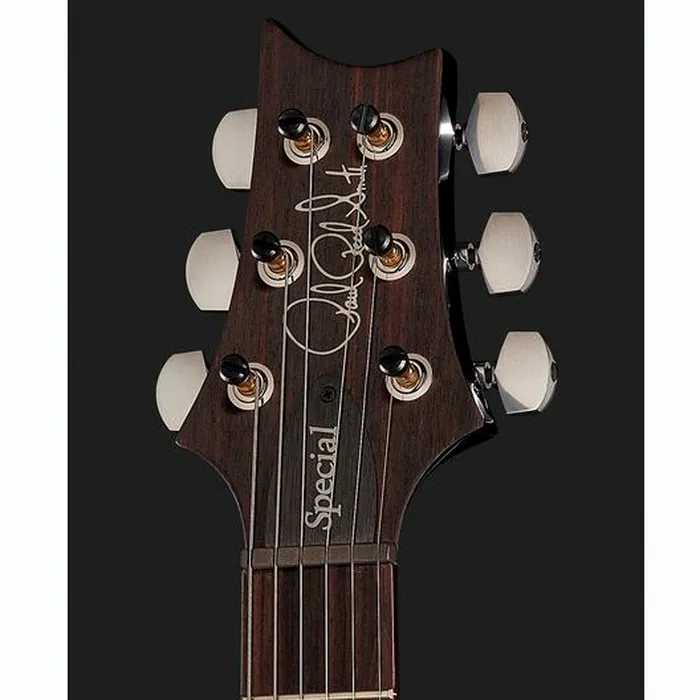 PRS Special Semi-Hollow CB – photo 8