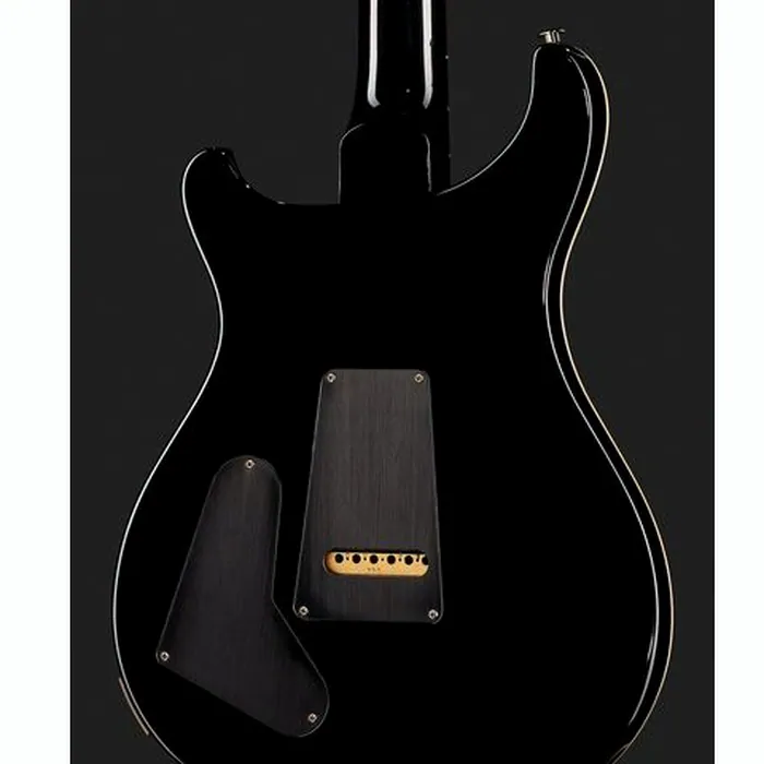 PRS Special Semi-Hollow CB – photo 7