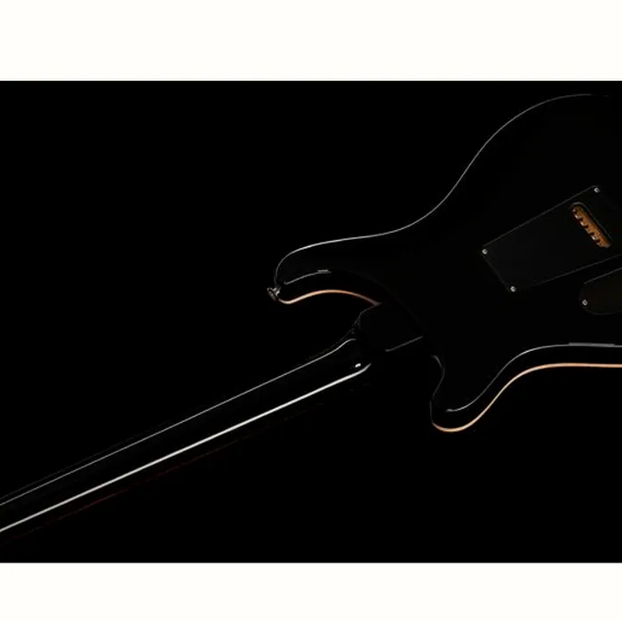 PRS Special Semi-Hollow CB – photo 10