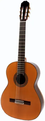 Raimundo 129-C Cocobolo