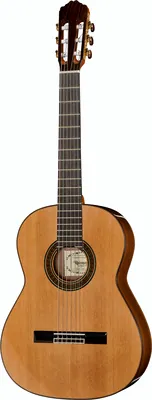 Raimundo Bossa Nova 2 Cedar B-Stock