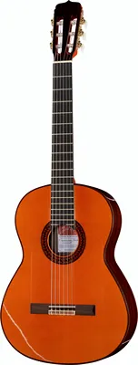 Ramirez Estudio Flamenco Palosanto