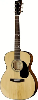 Recording King RO-318 Adirondack B-Stock