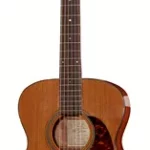 Guitare acoustique Recording King RO-T16 Torrefied | Test, Avis & Comparatif