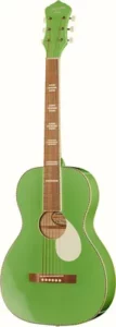 Guitare acoustique Recording King RPS-7-GN | Test, Avis & Comparatif