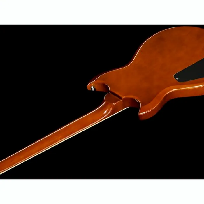 Reverend Bob Balch Violin Brown – photo 10