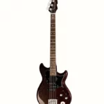 Reverend Mike Watt Wattplower MkII RBS – Avis sur cette basse électrique