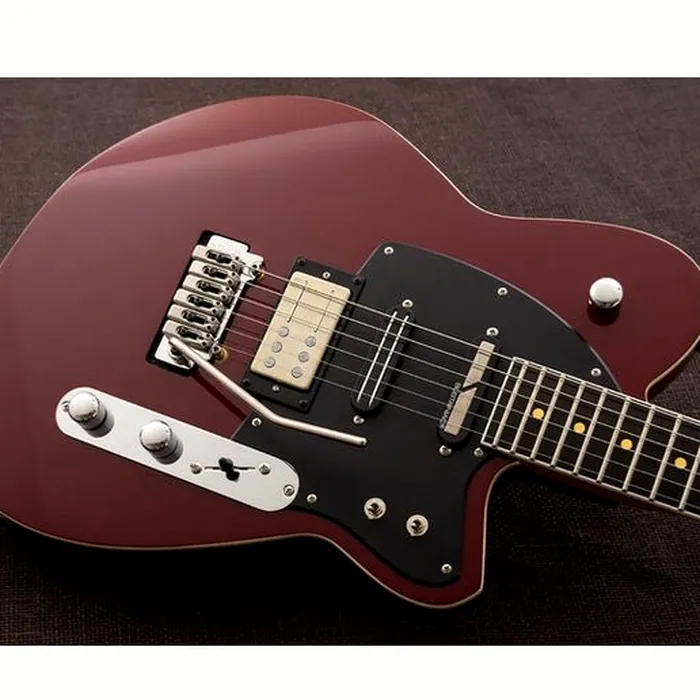 Reverend Reeves Gabrels RG-SUS MKII – photo 8