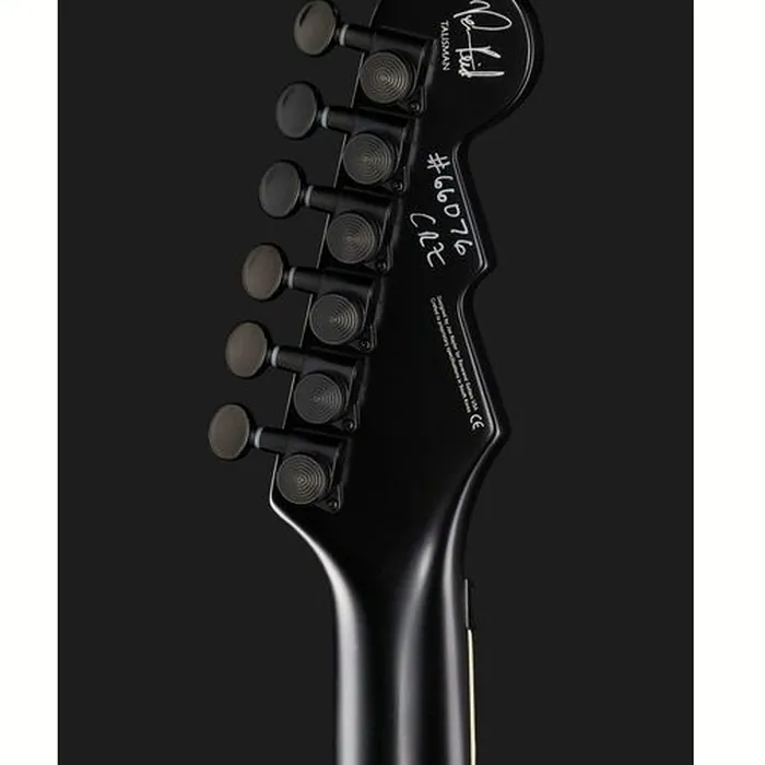 Reverend Vernon Reid Totem Talisman – photo 9