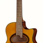 Guitare acoustique Richwood RM-140-NT Hot Club Solid D | Test, Avis & Comparatif