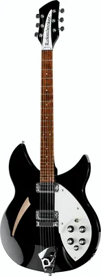 Rickenbacker 330 JG