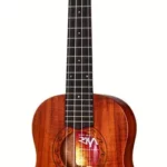 Le ukulélé Risa Koa Tenor | Test, Avis & Comparatif