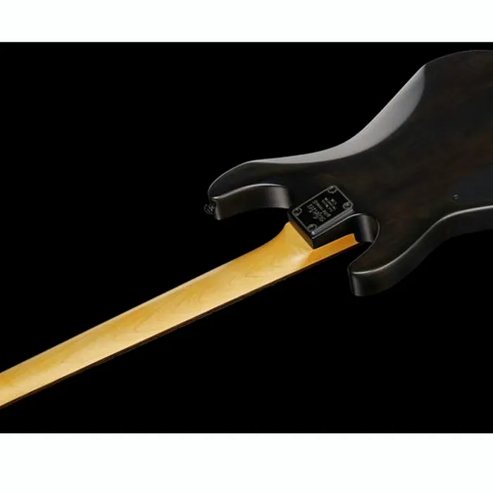 Schecter 70th Anniv. Demon-7 ASB – photo 10