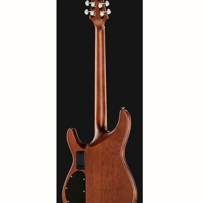 Schecter C-1 E/A Classic SVPB – photo 5