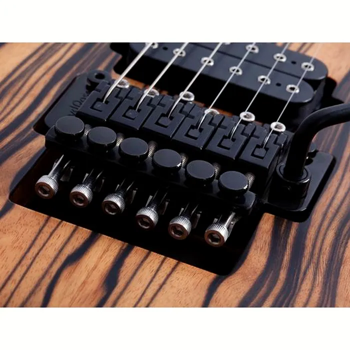 Schecter C-1 FR S Pale Moon SNBB – photo 8