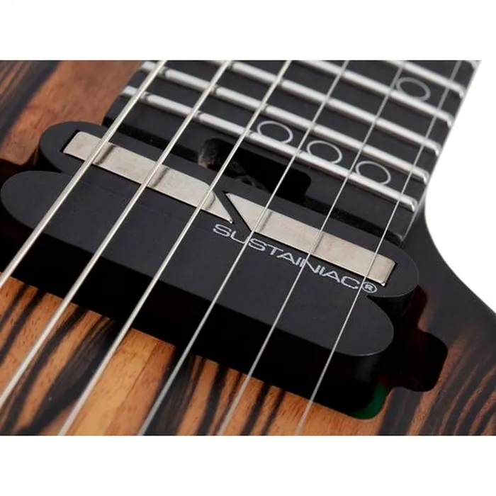 Schecter C-1 FR S Pale Moon SNBB – photo 11
