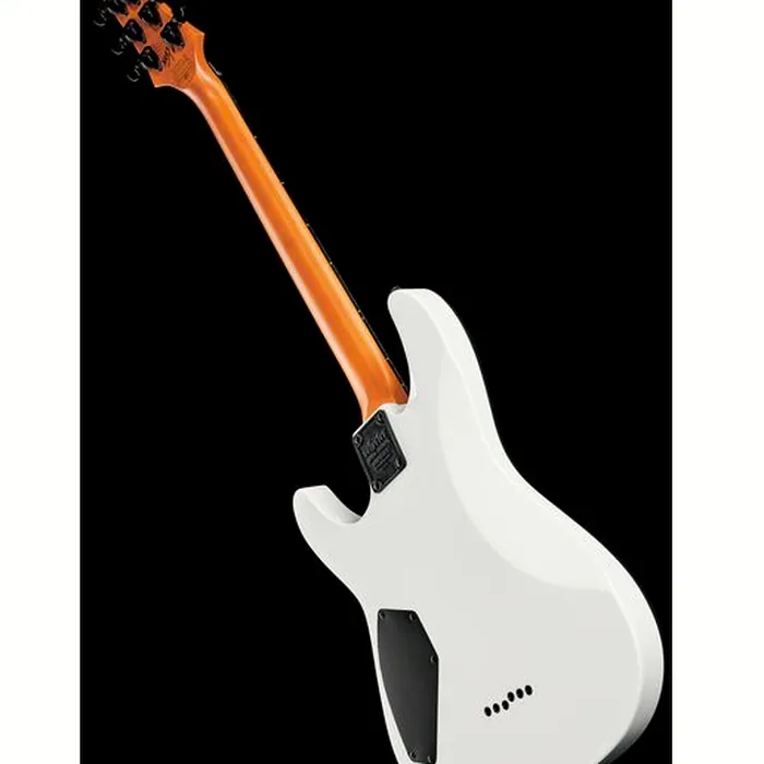 Schecter C-1 Jerry Horton 25th WH – photo 11