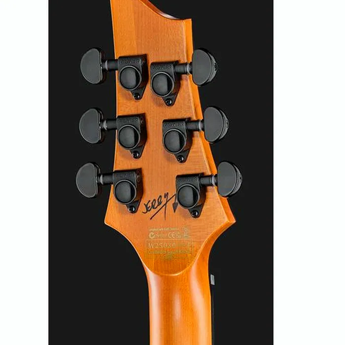 Schecter C-1 Jerry Horton 25th WH – photo 9