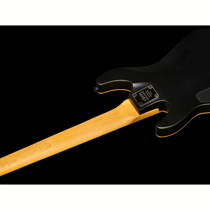 Schecter Demon-8 Aged Black Satin – photo 10