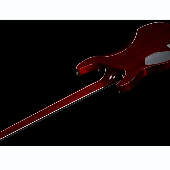 Schecter Hellraiser C-VI BCH – photo 10