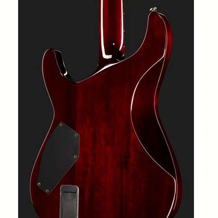 Schecter Hellraiser C-VI BCH – photo 7