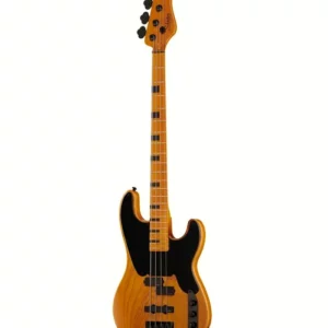 Schecter Model-T Session-4 ANS