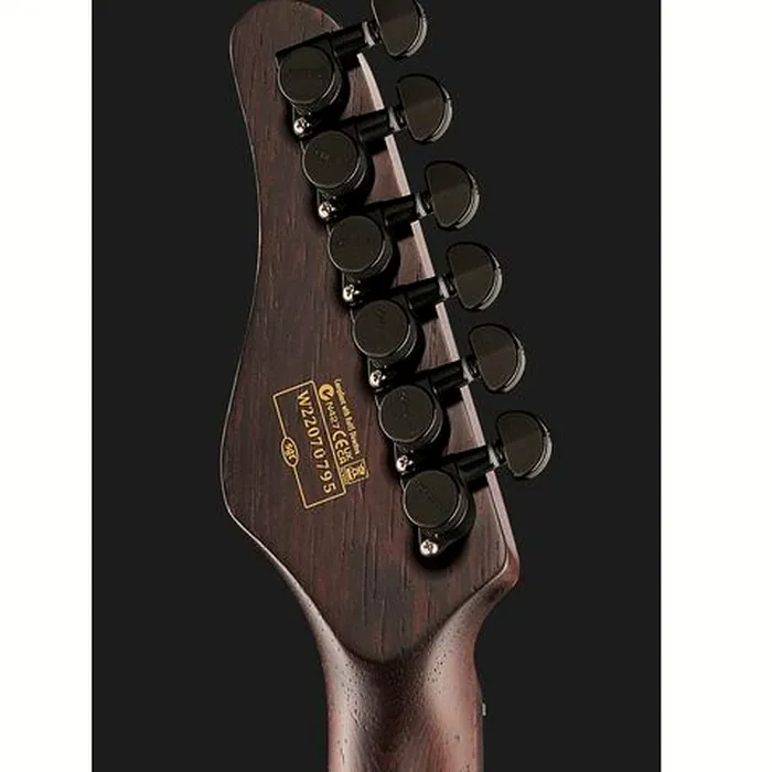 Schecter Sun Valley Super Shredder BL – photo 9