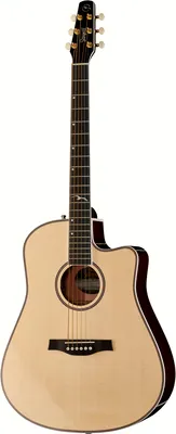 Seagull Artist Mosaic CW HG EQ