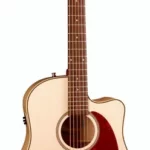 Guitare acoustique Seagull Performer CW Flame Maple QIT | Test, Avis & Comparatif