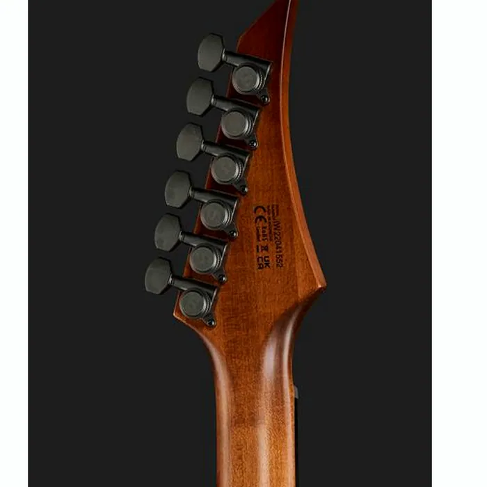 Solar Guitars A1.6AAN Aged Natural Matte – photo 9