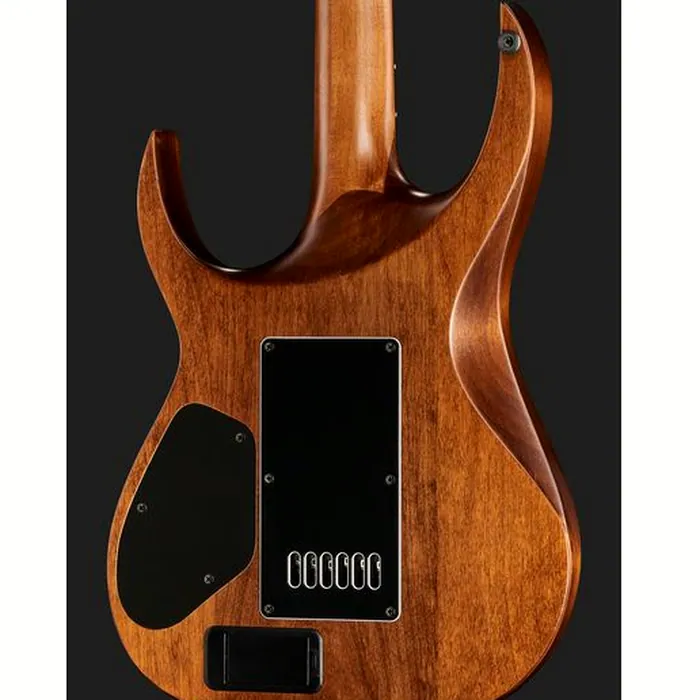 Solar Guitars A1.6AAN Aged Natural Matte – photo 7