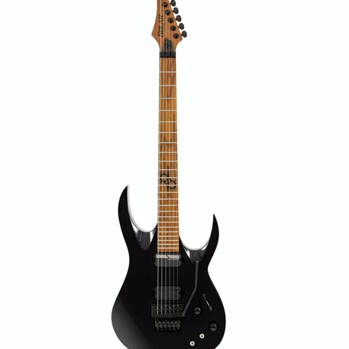 Solar Guitars AB1.6FRMNS Sustainiac+ – photo 2