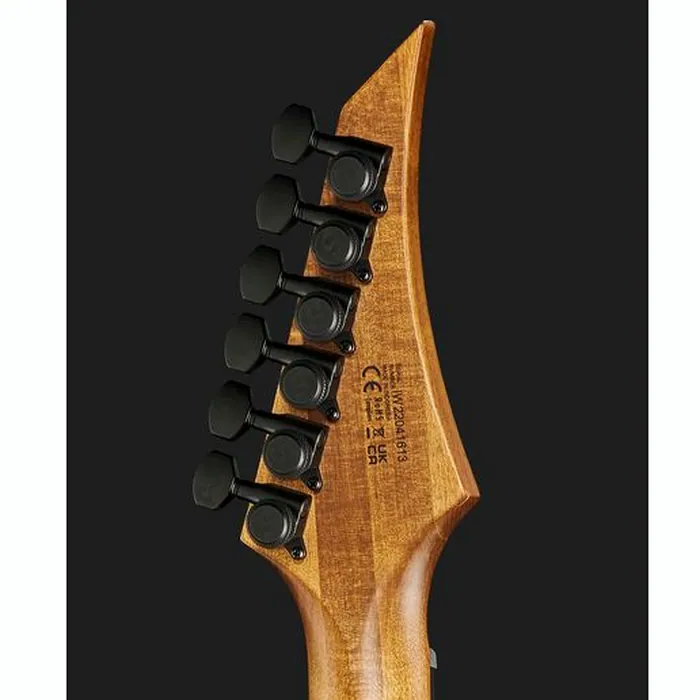 Solar Guitars E1.6AAN Aged Natural Matte – photo 9