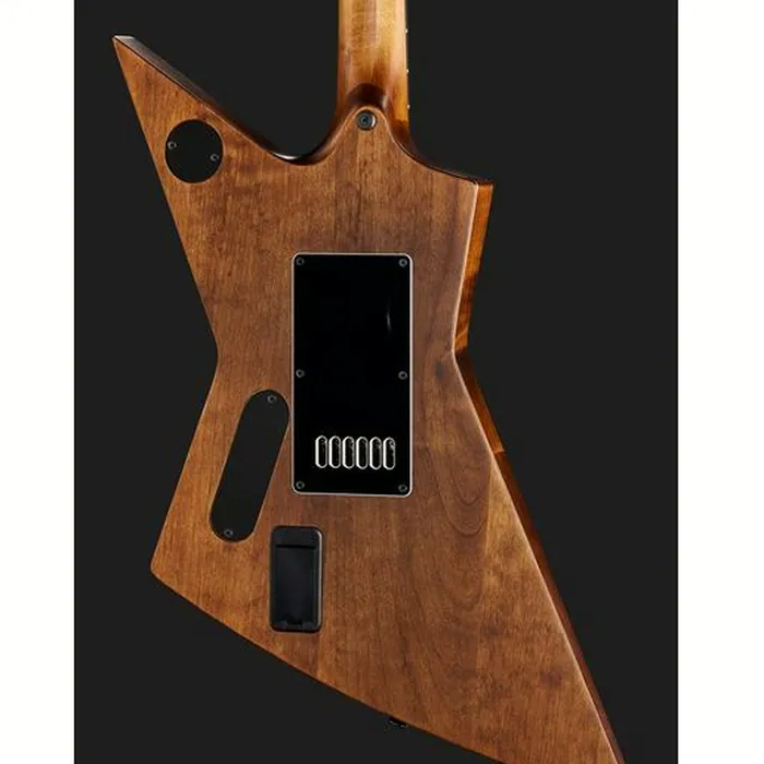 Solar Guitars E1.6AAN Aged Natural Matte – photo 7