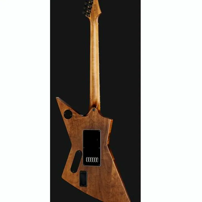 Solar Guitars E1.6AAN Aged Natural Matte – photo 5