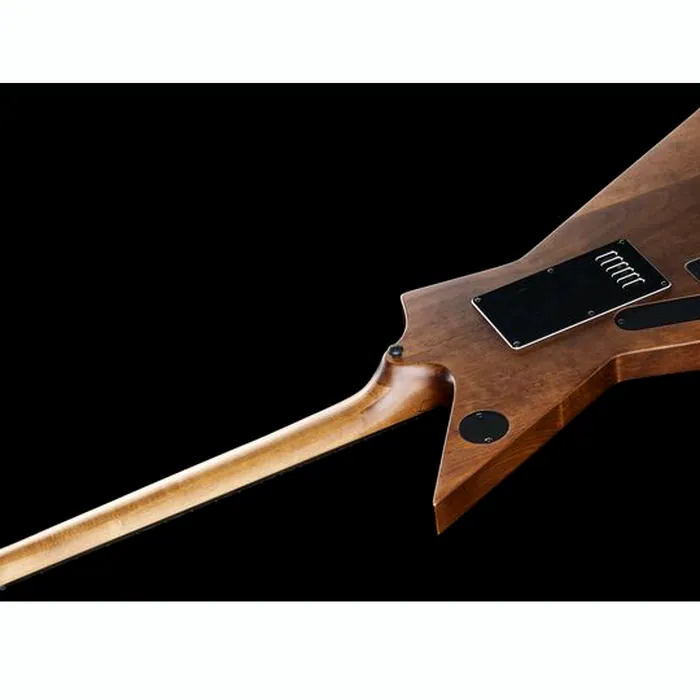 Solar Guitars E1.6AAN Aged Natural Matte – photo 10