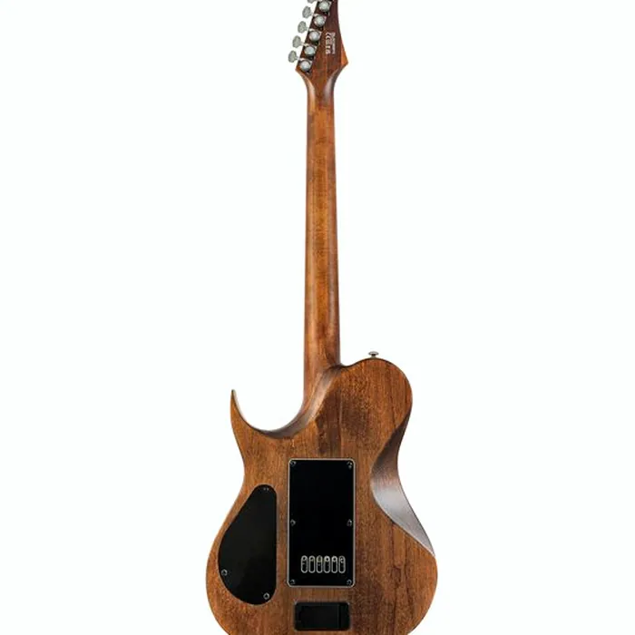 Solar Guitars T1.6AD Aged Natural – photo 4