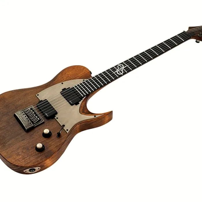 Solar Guitars T1.6AD Aged Natural – photo 5