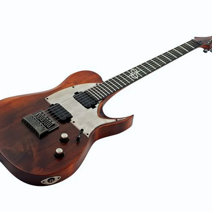 Solar Guitars T1.6D Aged Natural – photo 5