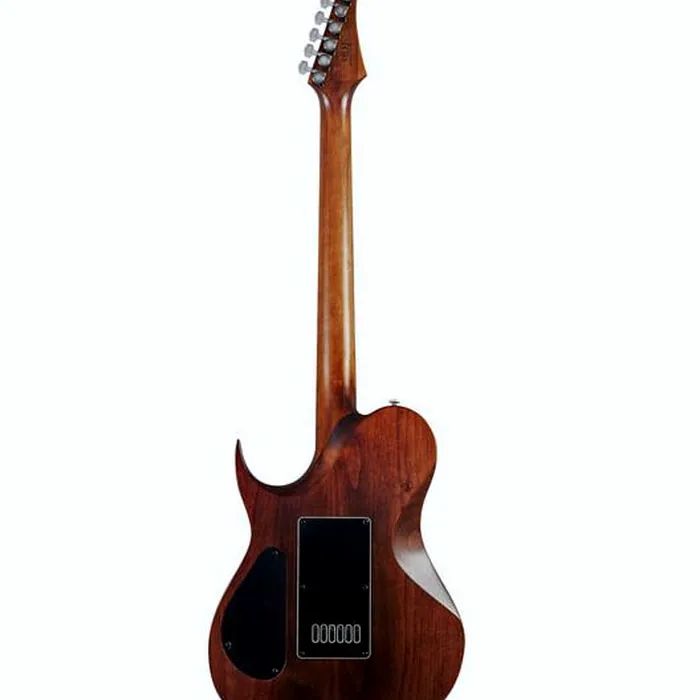 Solar Guitars T1.6D Aged Natural – photo 4