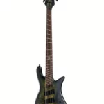 La basse électrique Spector NS Dimension MS 5 Haunted Moss : Notre avis