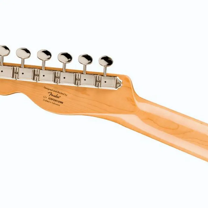 Squier CV 70s Tele Thinline MN BLK – photo 7