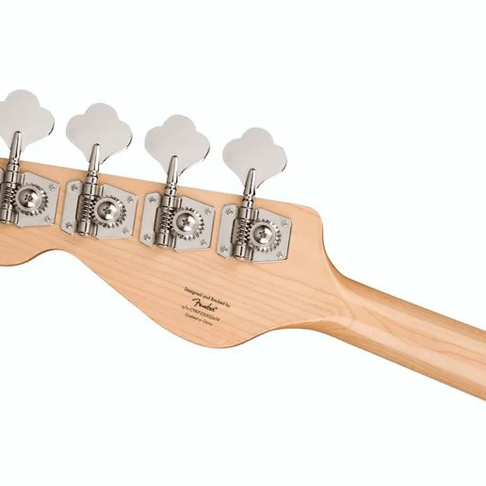 Squier Paranormal Rascal Bass HH SWG – photo 8